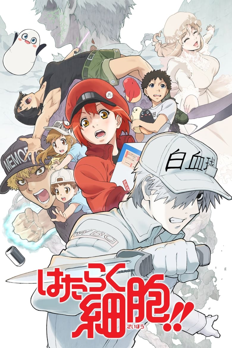 Cells at Work!: Season 2