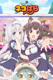 Nekopara