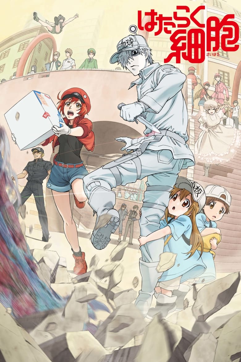 Cells at Work!: Season 1